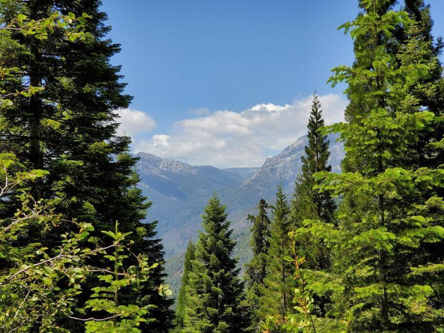 Redwood Retreat, Mountains, Adventure And Nature Ponderosa Dış mekan fotoğraf