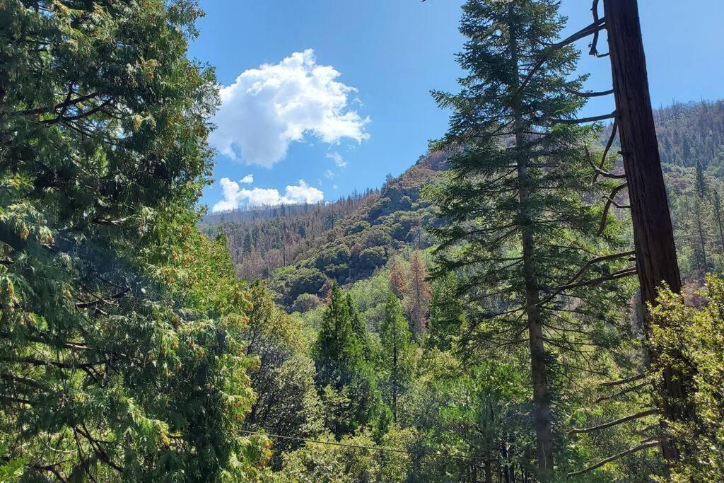 Redwood Retreat, Mountains, Adventure And Nature Ponderosa Dış mekan fotoğraf