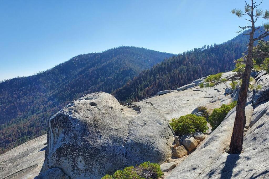 Redwood Retreat, Mountains, Adventure And Nature Ponderosa Dış mekan fotoğraf